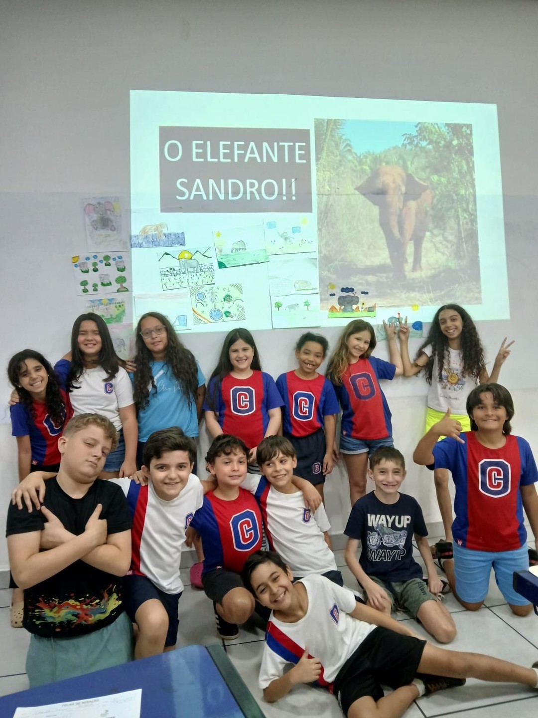 História de Sandro
