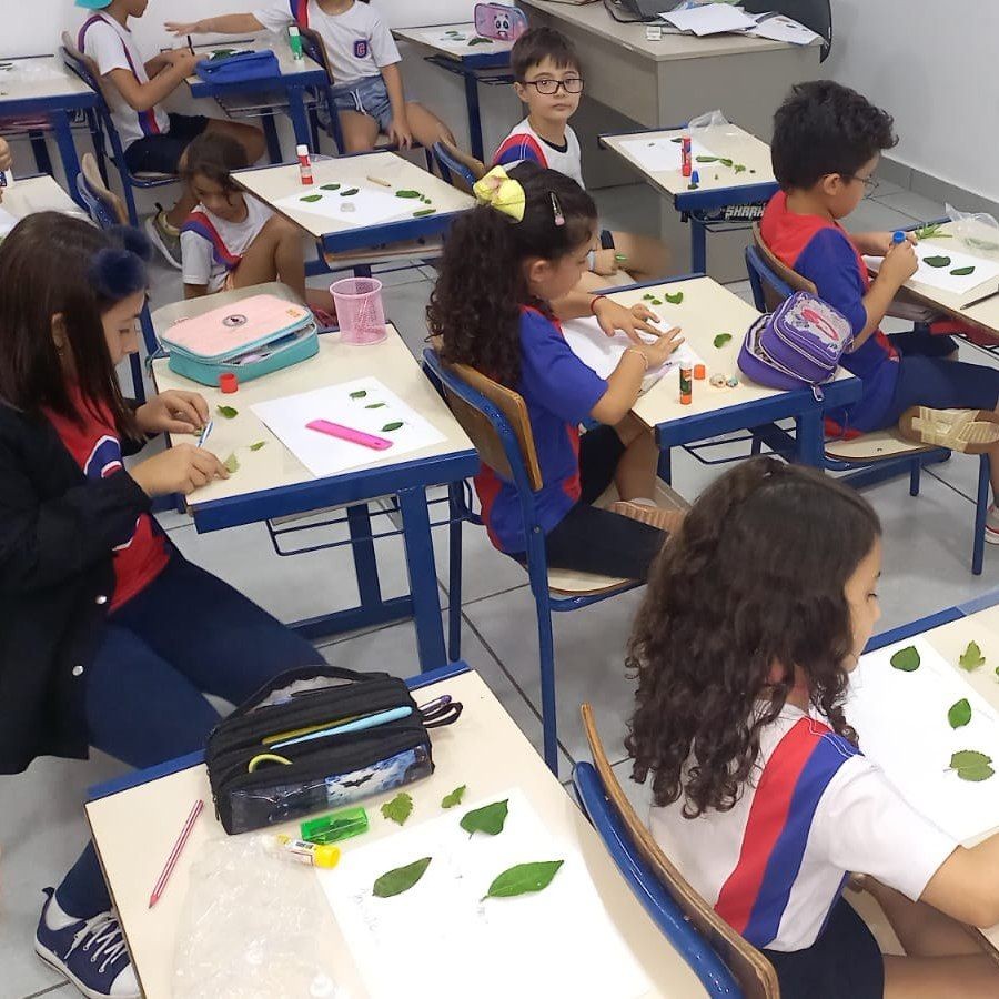 Analisando os nutrientes das folhas