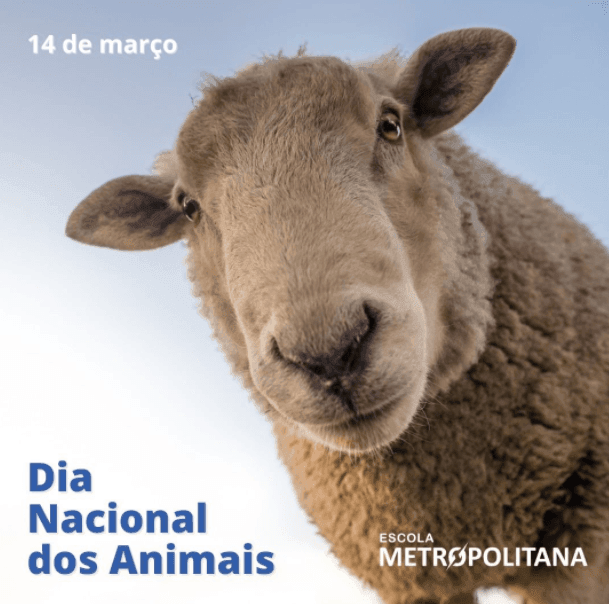 Dia Nacional dos Animais