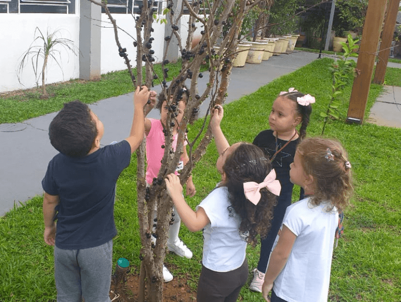 Criança como protagonista da aprendizagem