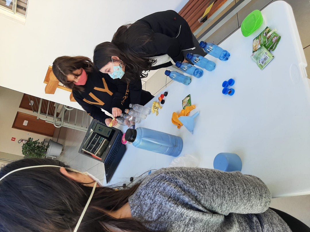 Atividade Fermentação